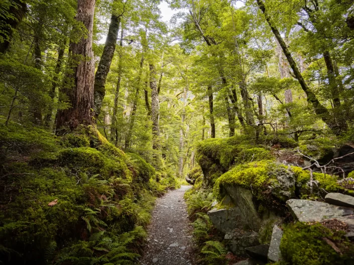 Routeburn Track - Parc national du Fiordland, Nouvelle-Zélande