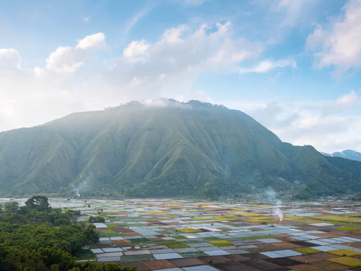 Pergasingan Hill depuis Bukit Selong - Sembalun, Lombok