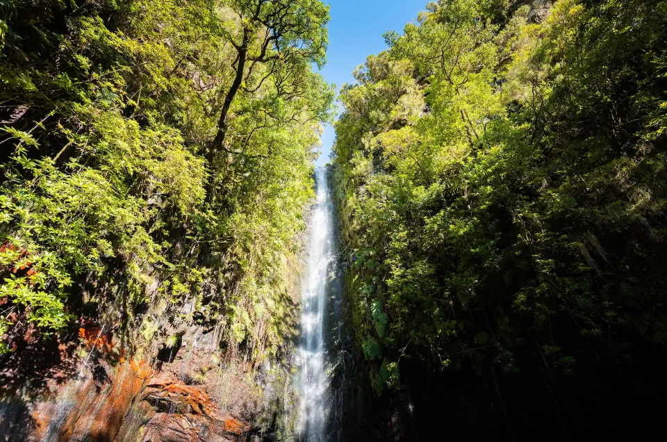 Levada das 25 Fontes & Verada da Lagoa do Vento